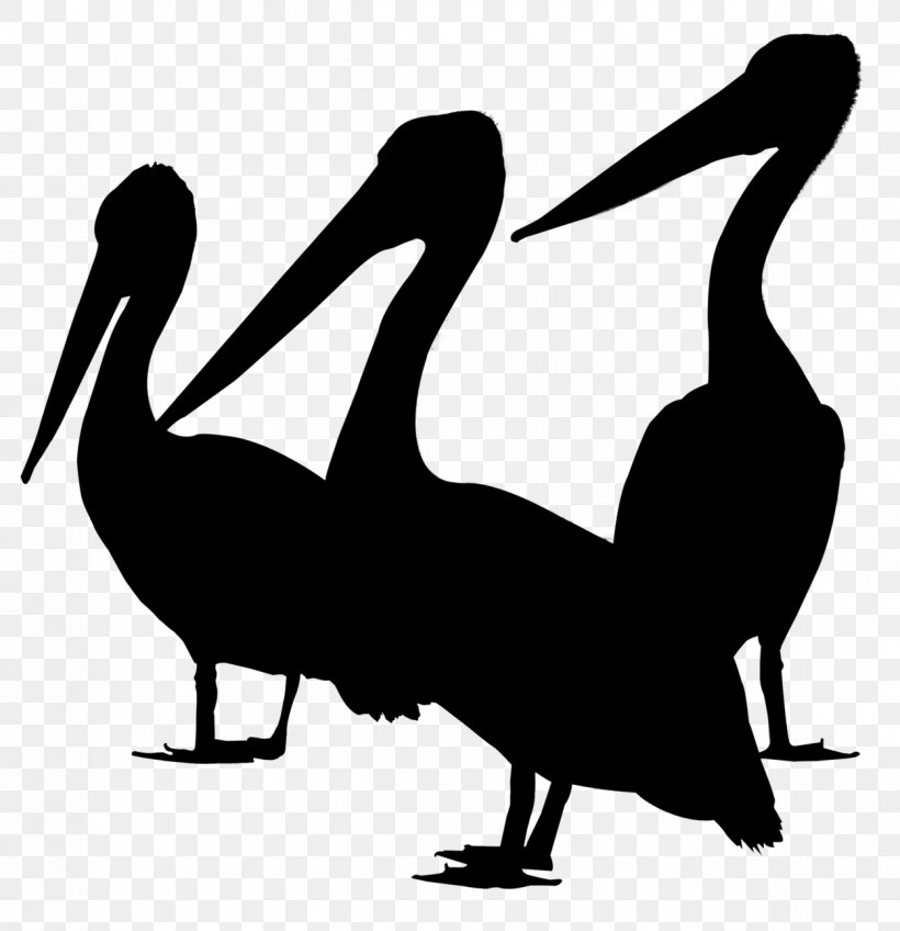 Duck Bird Gulls Goose Brown Pelican, PNG, 1250x1294px, Duck, Beak, Bird, Bird Flight, Blackandwhite Download Free