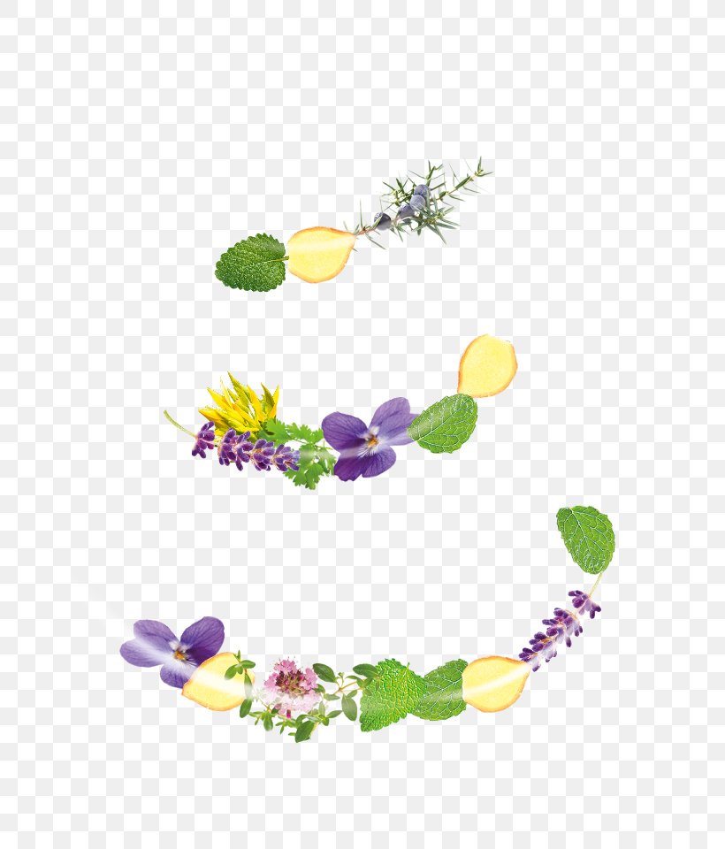 Floral Design Product Graphics Font, PNG, 762x960px, Flora, Floral Design, Flower, Petal, Violet Download Free