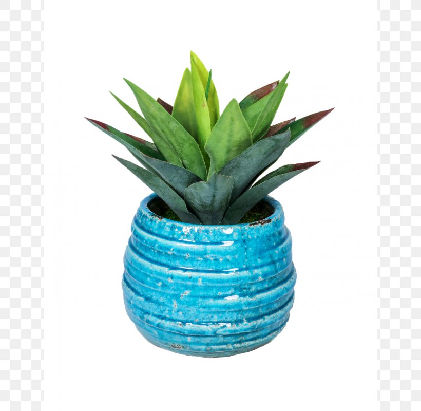 Majorelle Blue Majorelle Garden Turquoise Flowerpot Plant, PNG, 800x800px, Majorelle Blue, Aloe, Aloe Vera, Blue, Flowerpot Download Free