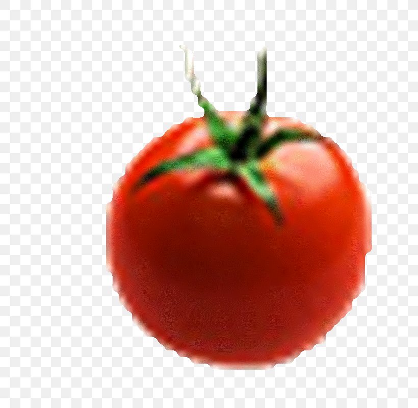 Plum Tomato Pizza Bush Tomato Fruit Beefsteak Tomato, PNG, 684x800px, Plum Tomato, Auglis, Beefsteak Tomato, Bush Tomato, Cherry Tomato Download Free