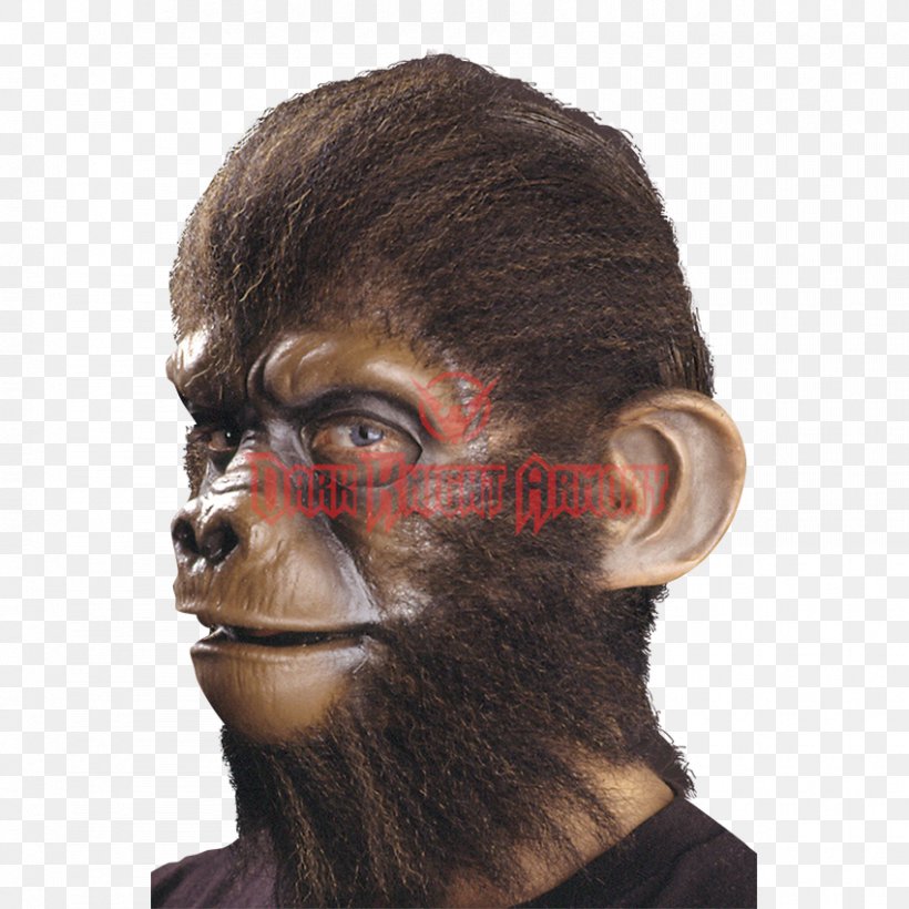Simian Ear Monkey Chimpanzee Prosthesis, PNG, 850x850px, Simian, Auricle, Beard, Chimpanzee, Costume Download Free