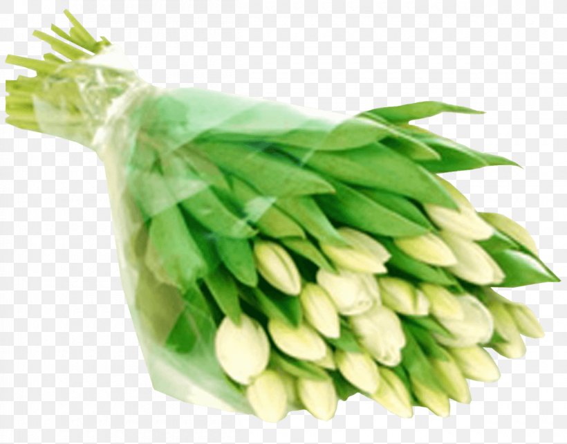 Tulip White Flower Bouquet Almaflowers.kz, PNG, 1200x940px, Tulip, Artikel, Cellophane, Commodity, Cut Flowers Download Free