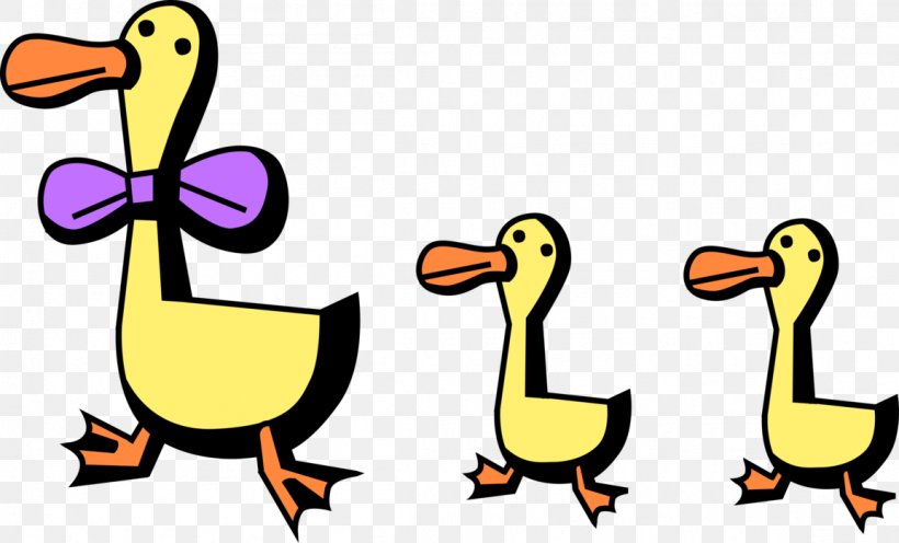 Bird Duck Beak Ducks, Geese And Swans Cartoon, PNG, 1155x700px, Bird, Beak, Cartoon, Duck, Ducks Geese And Swans Download Free