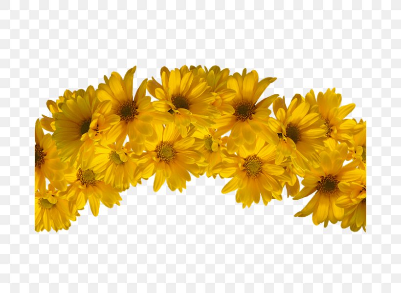 Clip Art Crown Flower Wreath, PNG, 678x600px, Crown, Black, Calendula, Chrysanths, Cut Flowers Download Free