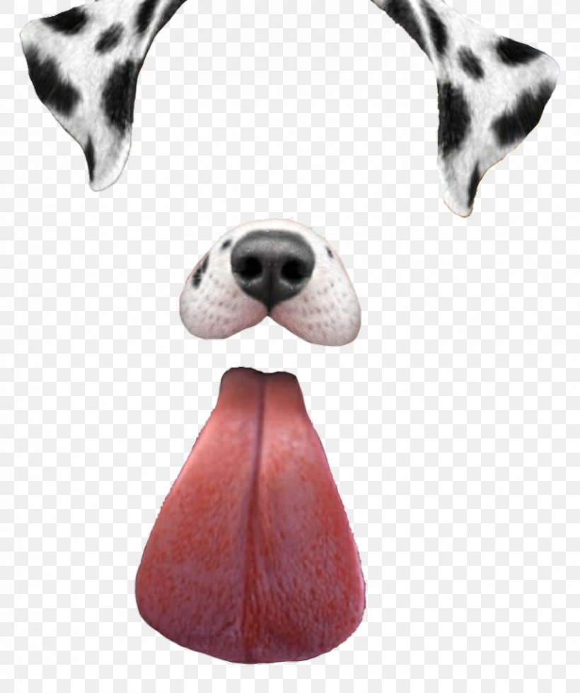 Dalmatian Dog Dachshund Puppy Snapchat, PNG, 856x1024px, Dalmatian Dog, Carnivoran, Dachshund, Dalmatian, Dog Download Free