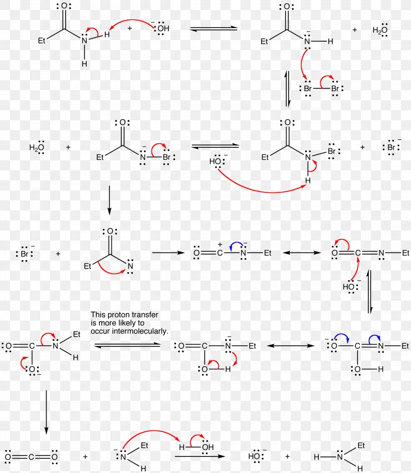 Elimination Reaction Hofmann Elimination Organic Chemistry Chemical Reaction, PNG, 2200x2535px, Elimination Reaction, Alkene, Area, Base, Biochemistry Download Free