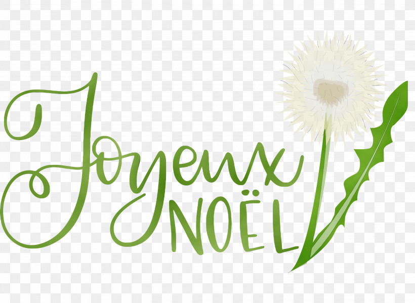 Floral Design, PNG, 3000x2193px, Noel, Christmas, Cut Flowers, Flora, Floral Design Download Free