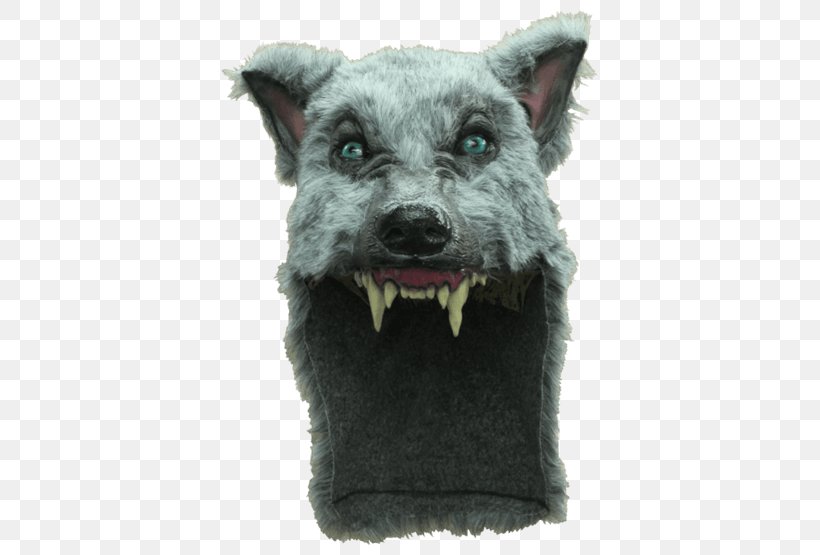 Gray Wolf Big Bad Wolf Fur Halloween Costume, PNG, 555x555px, Gray Wolf, Big Bad Wolf, Cairn Terrier, Cap, Carnival Download Free