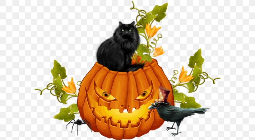 Jack-o'-lantern Whiskers Cat Halloween Winter Squash, PNG, 600x450px, Whiskers, Calabaza, Carnivoran, Cat, Cat Like Mammal Download Free