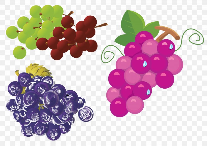 Grape Wine Drink Watermelon, PNG, 3984x2818px, Grape, Apple, Banana, Berry, Cartoon Download Free