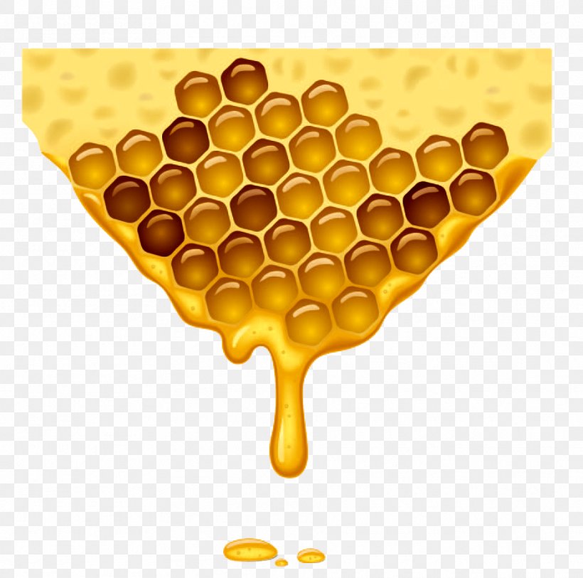 Honey Bee Honeycomb Beehive, PNG, 935x928px, Bee, Beehive, Beeswax, Drawing, Honey Download Free