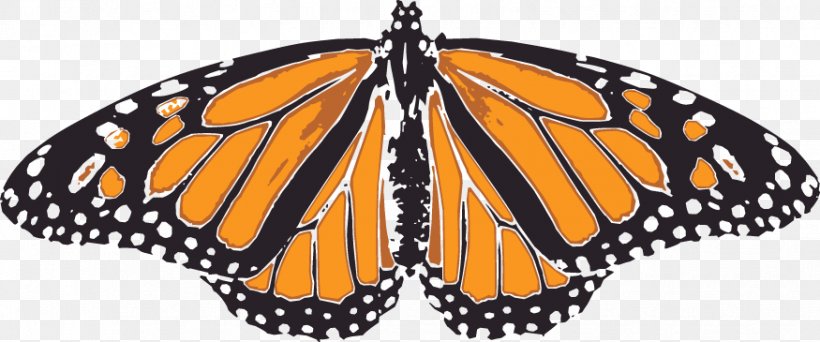 Monarch Butterfly Orange Pieridae, PNG, 875x365px, Monarch Butterfly, Art, Arthropod, Brush Footed Butterfly, Brushfooted Butterflies Download Free
