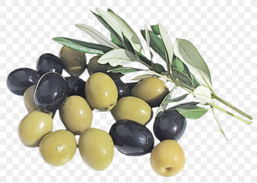 Olive Oil, PNG, 1024x727px, Olive, Food, Fruit, Ingredient, Olive Family Download Free