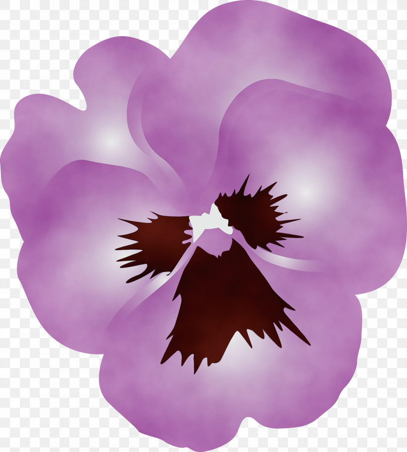 Violet Purple Petal Flower Plant, PNG, 2706x3000px, Pansy, Cattleya, Flower, Magenta, Paint Download Free
