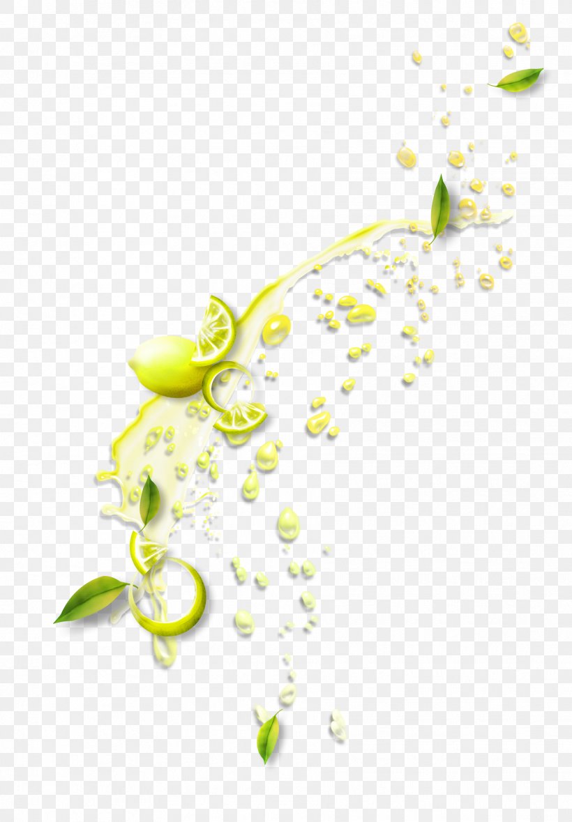 Lemon Juice, PNG, 1812x2606px, Lemon, Branch, File Viewer, Flora, Floral Design Download Free