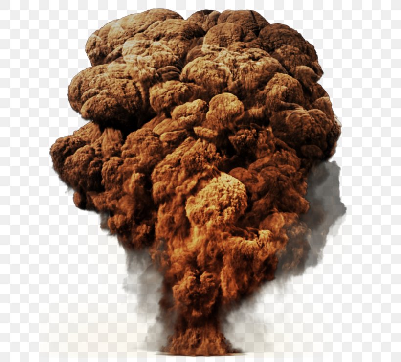 Mushroom Cloud Explosion Clip Art, PNG, 658x740px, Mushroom Cloud, Anzac Biscuit, Baked Goods, Biscuit, Bomb Download Free