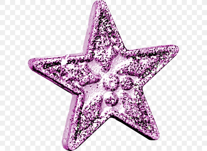 Starfish Pink M, PNG, 600x601px, Starfish, Pink, Pink M, Purple, Violet Download Free