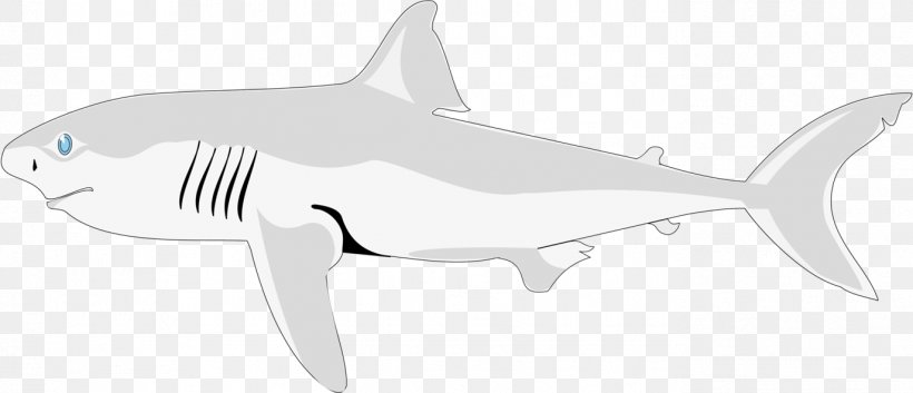 Tiger Shark Chondrichthyes Fish Requiem Shark, PNG, 1374x593px, Shark, Animal, Animal Figure, Biology, Black Download Free