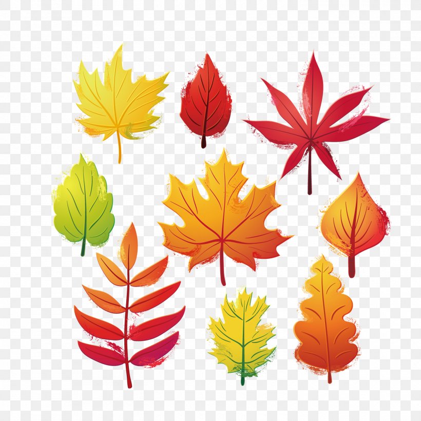 Autumn Leaf Clip Art, PNG, 1500x1500px, Autumn, Autumn Leaf Color, Deciduous, Flower, Flowering Plant Download Free