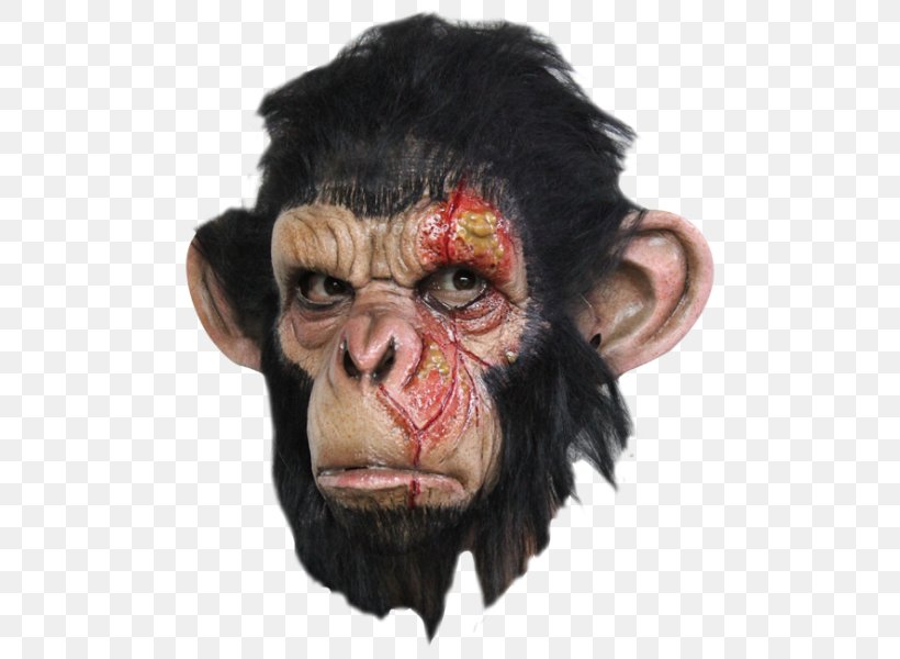 Chimpanzee Ape Latex Mask Halloween Costume, PNG, 600x600px, Chimpanzee, Ape, Ball, Carnival, Clothing Accessories Download Free