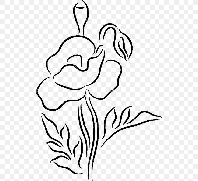 Drawing Poppy Photography Illustration, PNG, 524x750px, Drawing, Arm, Art, Artwork, Beak Download Free