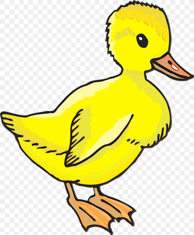 Duck Water Bird Birds Beak Yellow, PNG, 846x1024px, Watercolor, Beak, Biology, Birds, Duck Download Free