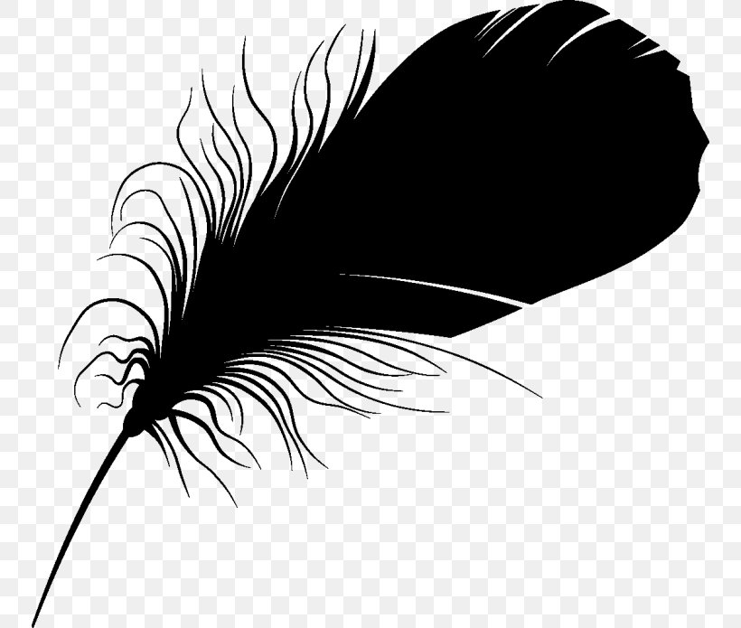 Feather Font Eyelash Beak Silhouette, PNG, 750x695px, Feather, Beak, Black M, Blackandwhite, Eyelash Download Free