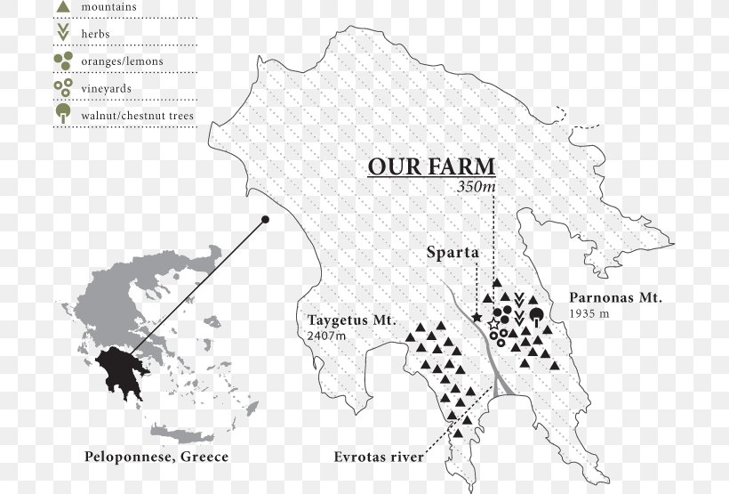 Kalamata Olive Greek Cuisine Greece Map, PNG, 701x555px, Olive, Animal, Area, Artisan, Black And White Download Free