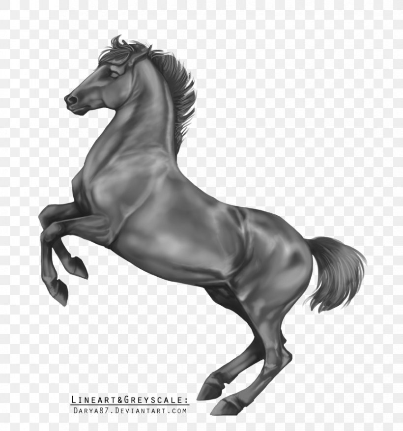 Lipizzan Stallion Arabian Horse Grayscale Black And White, PNG, 864x925px, Lipizzan, Arabian Horse, Art, Bit, Black And White Download Free