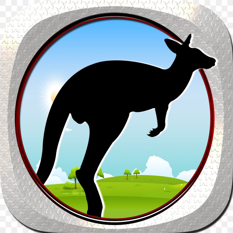 Macropodidae Deer Mammal Kangaroo Horse, PNG, 1024x1024px, Macropodidae, Animal, Deer, Fauna, Grass Download Free