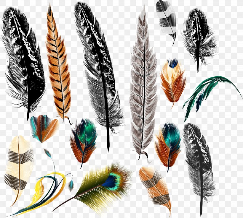 Bird Feather Euclidean Vector Drawing, PNG, 3658x3295px, Feather, Animal Product, Cdr, Color, Depositphotos Download Free