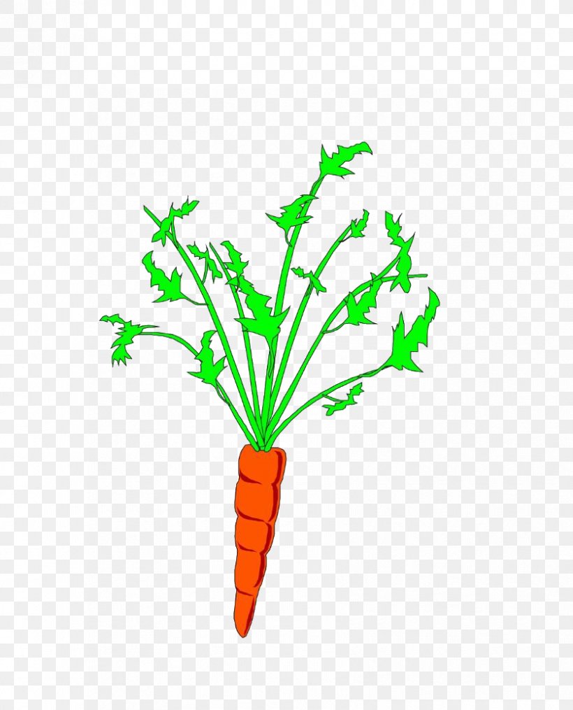Carrot Animation Clip Art, PNG, 837x1037px, Watercolor, Cartoon, Flower, Frame, Heart Download Free
