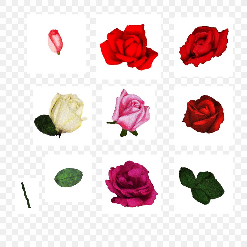 Cut Flowers Centifolia Roses Floral Design Garden Roses, PNG, 1500x1500px, Flower, Artificial Flower, Centifolia Roses, Cut Flowers, Floral Design Download Free