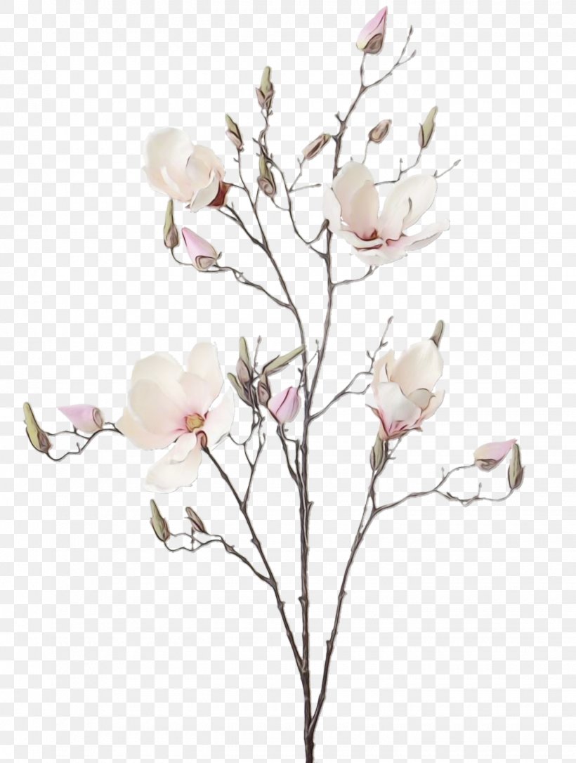 Drawing Of Family, PNG, 1440x1908px, Blossom, Branch, Bud, Cherry Blossom, Chinese Magnolia Download Free