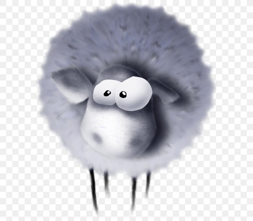 Sheep White, PNG, 600x714px, Sheep, Black And White, Nose, Off The Baa, Organism Download Free