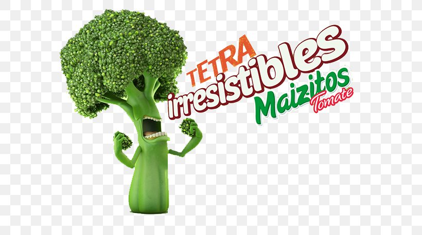 Vegetable Broccoli Graphic Design, PNG, 600x458px, Vegetable, Art, Behance, Brand, Broccoli Download Free