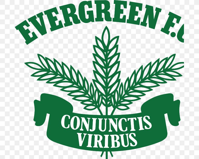 Evergreen Football & Social Club Train Track Tree Eveready Hire, PNG, 697x656px, Train, Area, Artwork, Brand, Grass Download Free