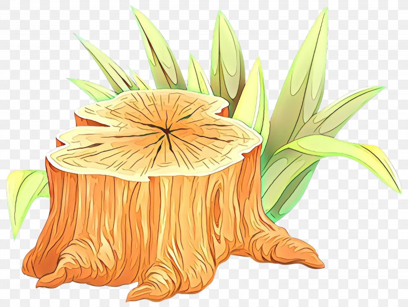 Plant Flower Tree Clip Art, PNG, 3000x2257px, Cartoon, Flower, Plant, Tree Download Free