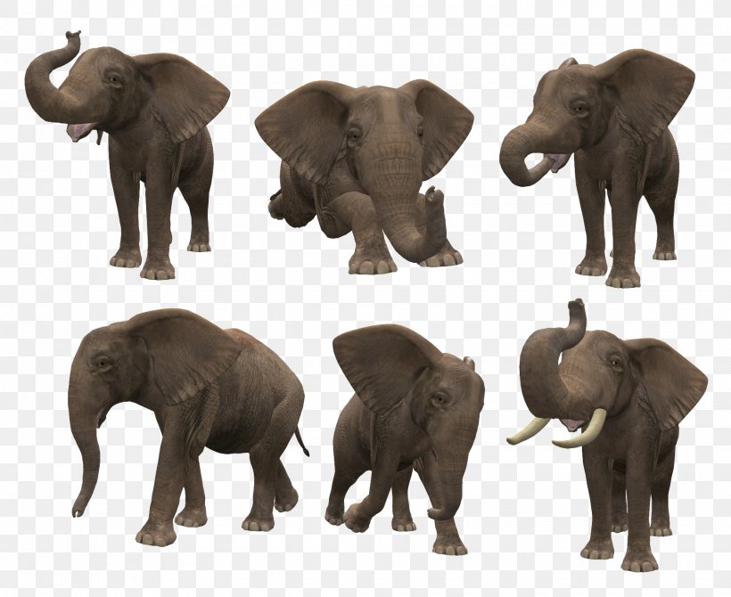 Asian Elephant African Bush Elephant Clip Art, PNG, 1840x1504px, Asian Elephant, African Bush Elephant, African Elephant, Deinotheriidae, Digital Image Download Free