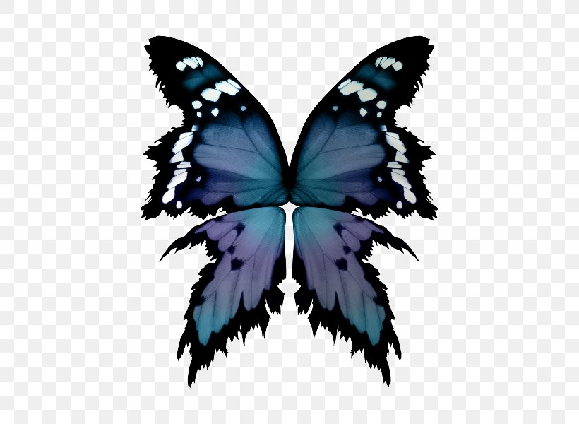 Butterfly Painting Brush Symmetry, PNG, 600x600px, Butterfly, Arthropod, Brush, Brush Footed Butterfly, Insect Download Free