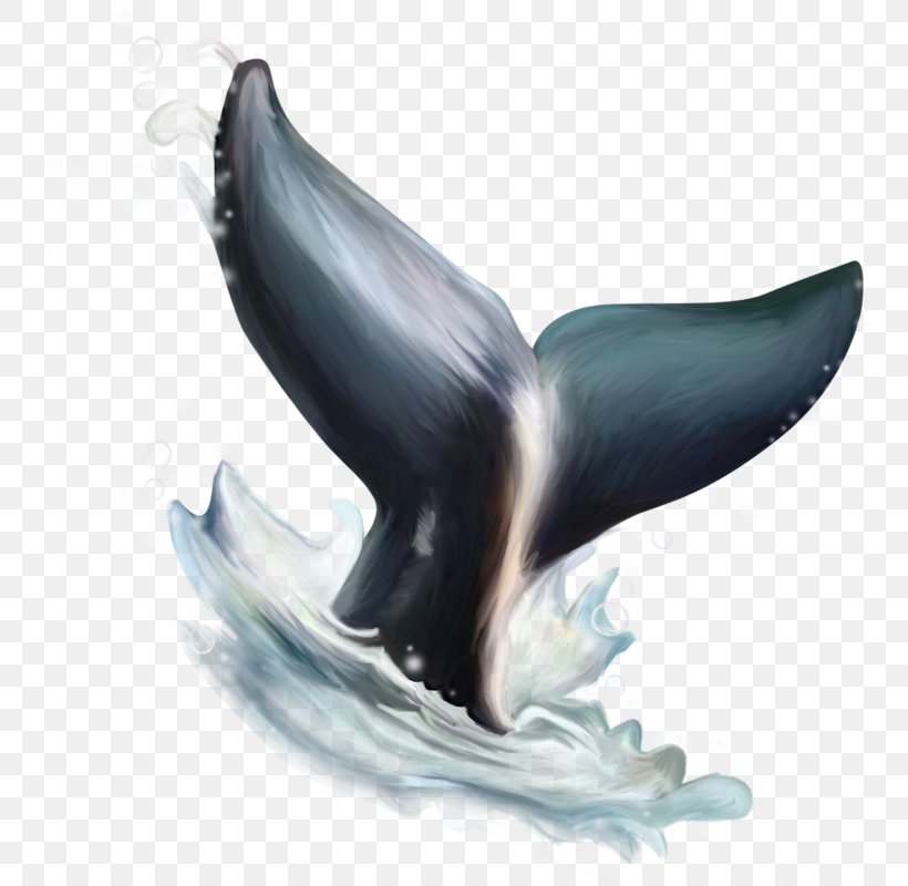 Dolphin Figurine Beak, PNG, 752x800px, Dolphin, Beak, Figurine, Marine Mammal, Organism Download Free