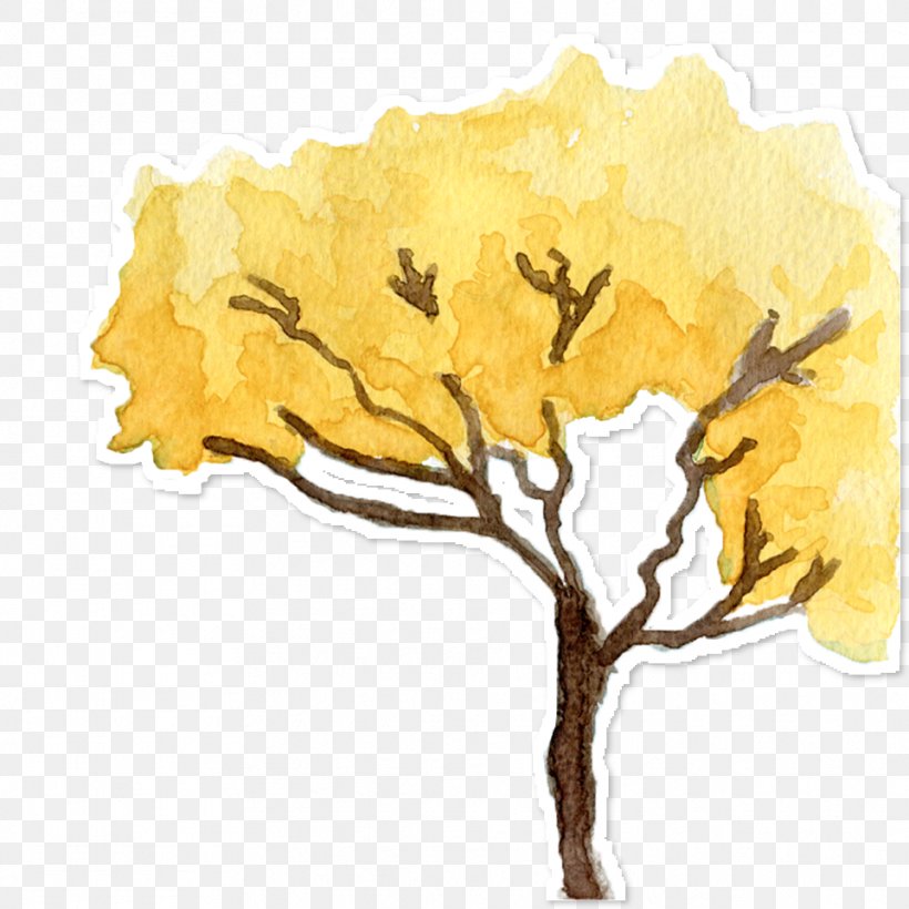 Handroanthus Albus Art Cerrado Yellow Illustration, PNG, 962x962px, Handroanthus Albus, Art, Art Museum, Branch, Cerrado Download Free