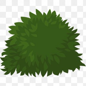 Ornamental - Shrub Tree Nature Hills Nursery, Inc. Plant Clip Art PNG