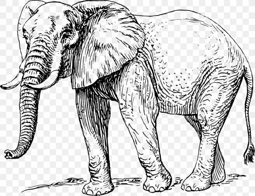 Asian Elephant African Elephant Drawing, PNG, 958x738px, Asian Elephant, African Elephant, Animal Figure, Big Cats, Black And White Download Free