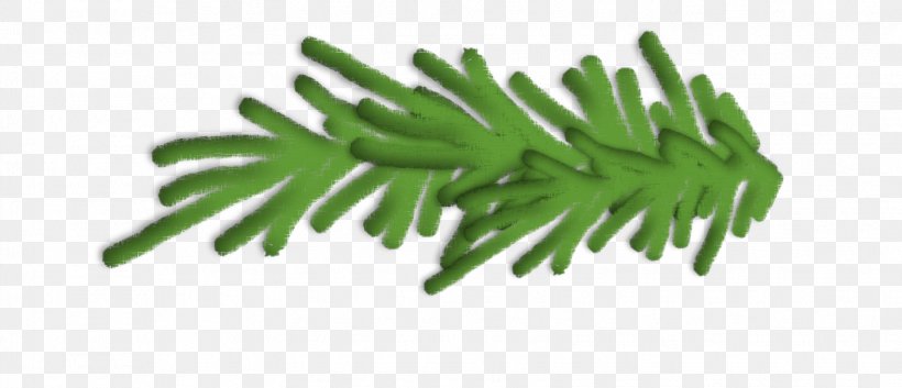 Blue Spruce Branch Pine Clip Art, PNG, 1625x700px, Blue Spruce, Branch, Drawing, Evergreen, Grass Download Free