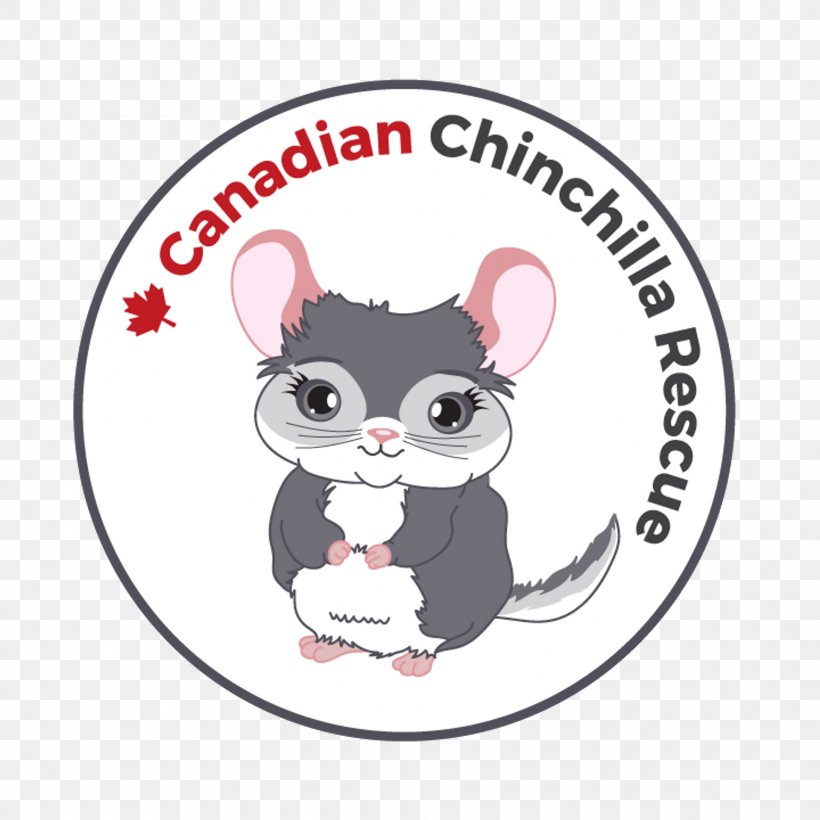 Mouse Toronto Chinchilla Rat Mississauga, PNG, 1920x1920px, Mouse, Adoption, Animal, Canada, Chinchilla Download Free