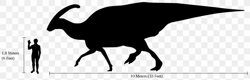 Parasaurolophus Late Cretaceous Lambeosaurus Tyrannosaurus, PNG, 2000x648px, Parasaurolophus, Beak, Black And White, Cretaceous, Dinosaur Download Free