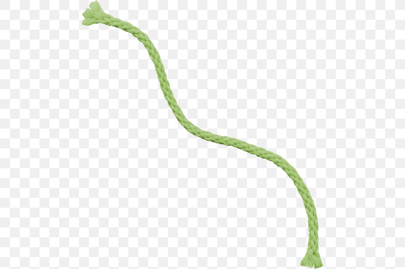 Rope Line, PNG, 489x544px, Rope, Grass, Plant Stem Download Free
