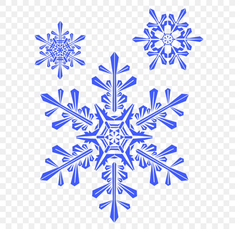 Snowflake Winter Shape, PNG, 650x800px, Snowflake, Black And White, Cobalt Blue, Cold, Color Download Free