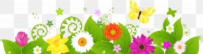 Bande - Stock Photography Flower Royalty-free Clip Art PNG